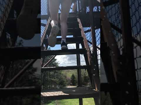 Trigg Observation Tower in Shawnee National Forest