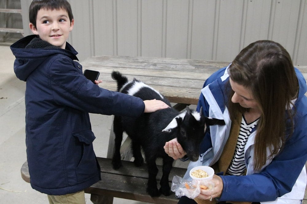 Petting a goat at Wilstem Ranch- Fall Getaway