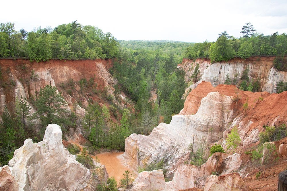 A view of Providence Canyon from above
