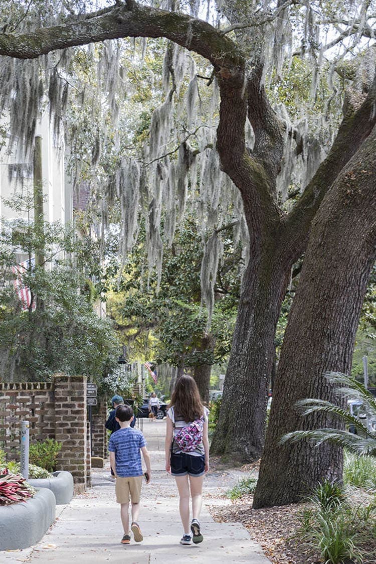 walking in savannah