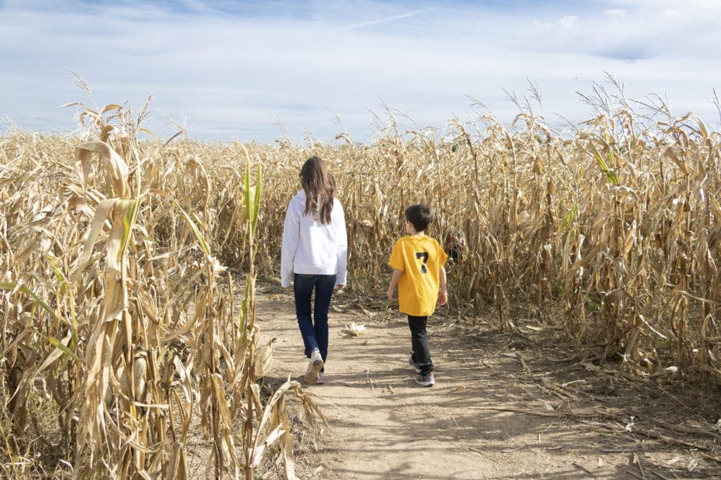 If you can only do one thing in Michigan this fall, make it a corn maze | Things to do in Michigan this fall.