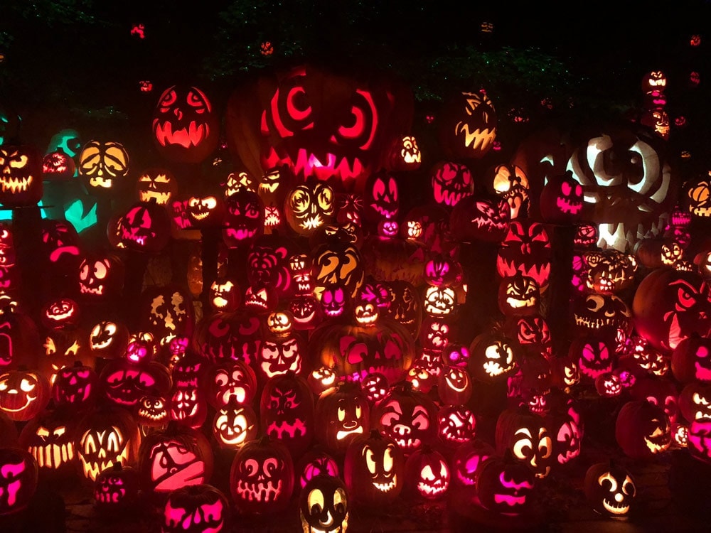 Tons of illuminated Jack O Lanterns at the Louisville Jack O Lantern Spectacular