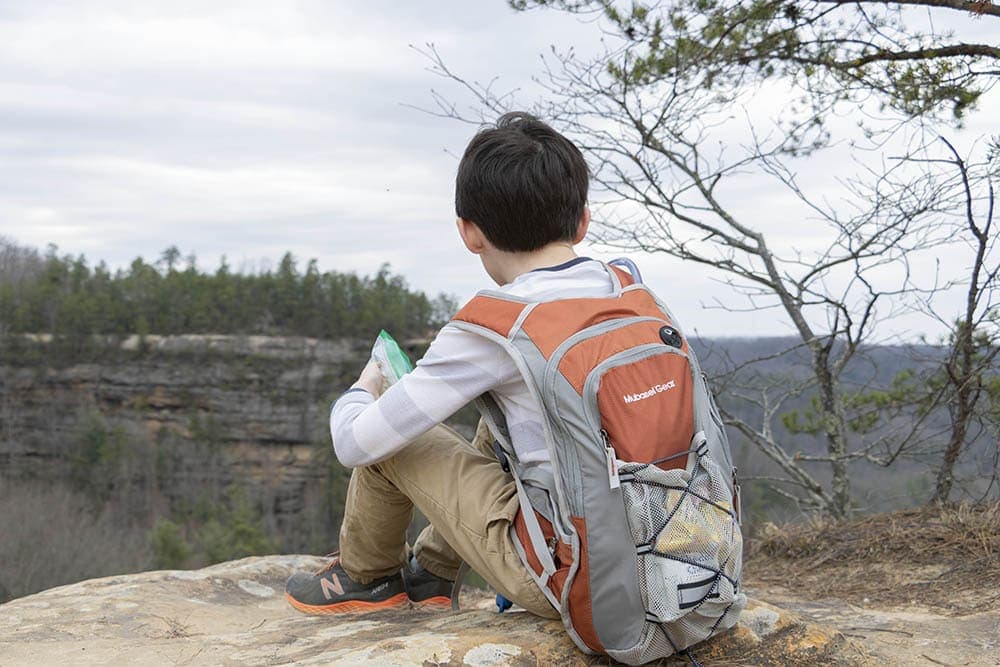 Natural Bridge State Resort Park – Ultimate Guide natural bridge kentucky view from the top