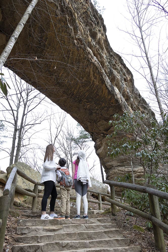 Natural Bridge at Red River Gorge - A majestic rock arch spanning the landscape, showcasing the unique geological wonders of this hidden gem in eastern Kentucky. An alternative beauty inviting exploration and tranquility.