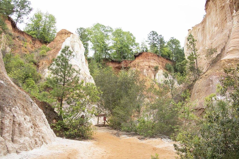 Exploring Providence Canyon on Spring Break.