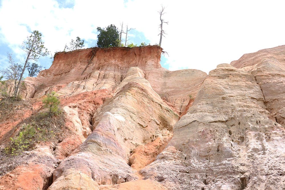 Georgia's Little Grand Canyon. A view looking up from the canyon