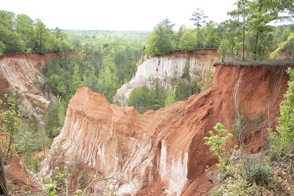 The view of Providence Canyon or Georgia's Little Grand Canyon from the upper rim