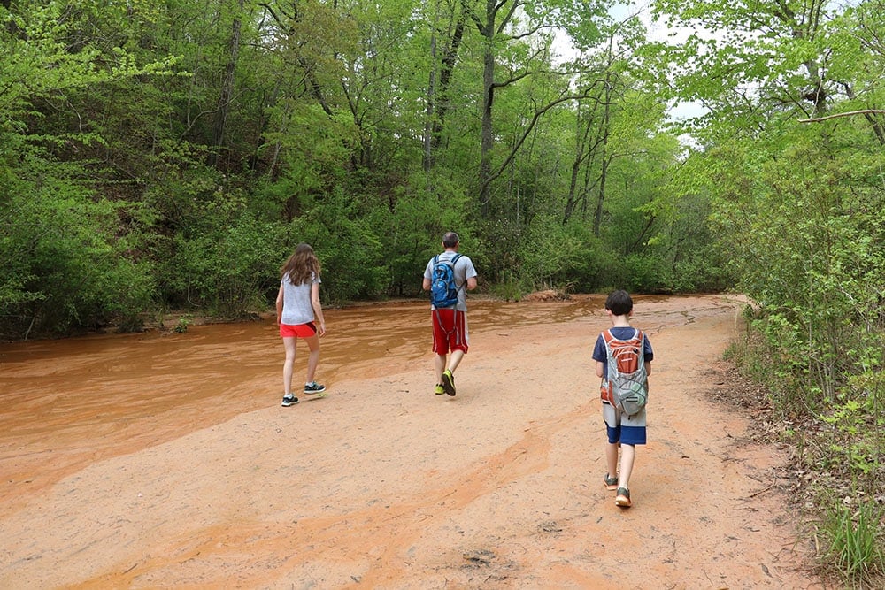 Hiking the trails at providence canyon | road trip pit stop