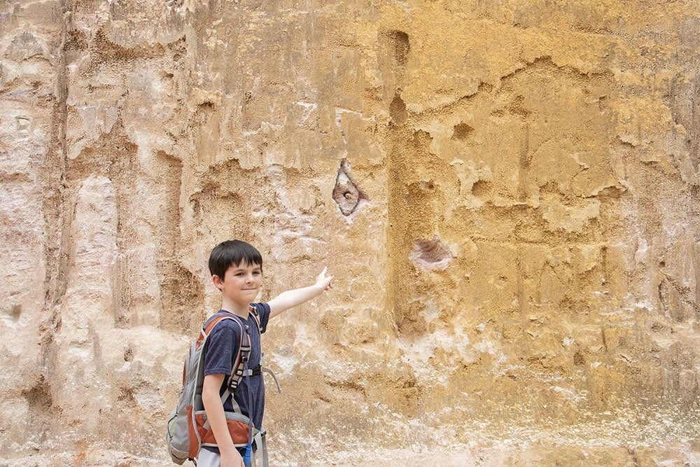 Family vacation to providence canyon. View of the canyon wall.