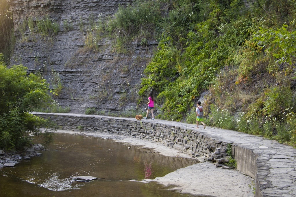 50+ Waterfalls in New York in 3 Days cascadilla falls hiking