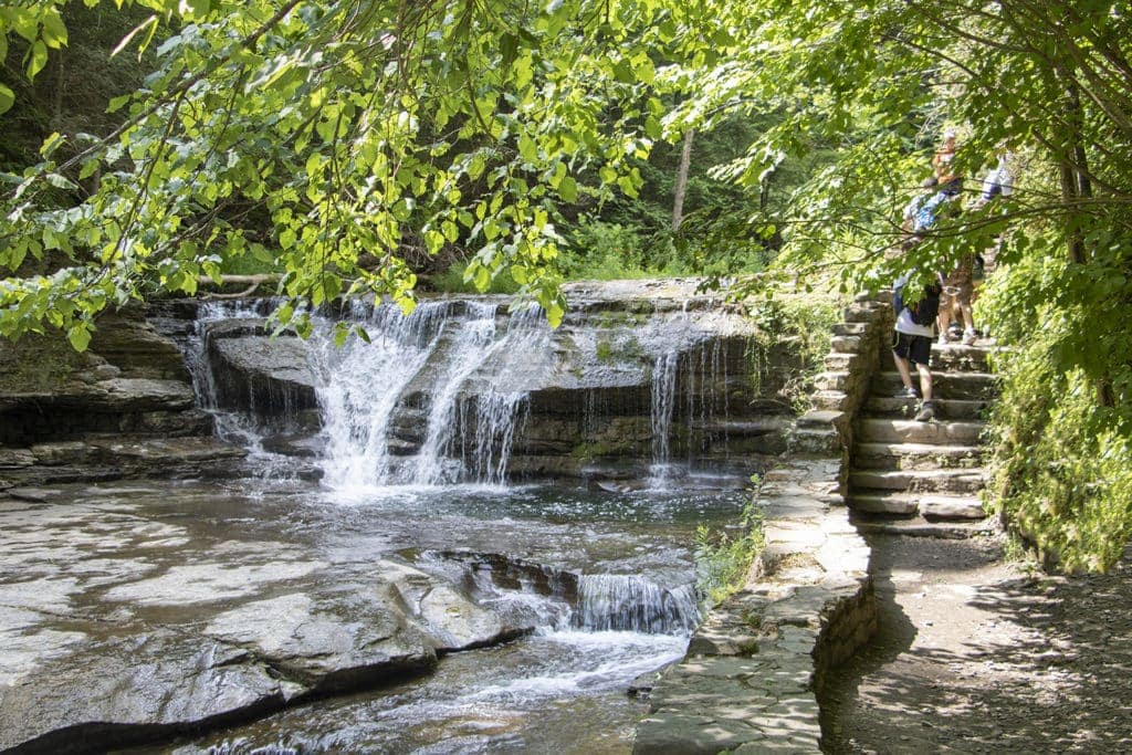 50+ Waterfalls in New York in 3 Days robert h treman rim gorge trail 1