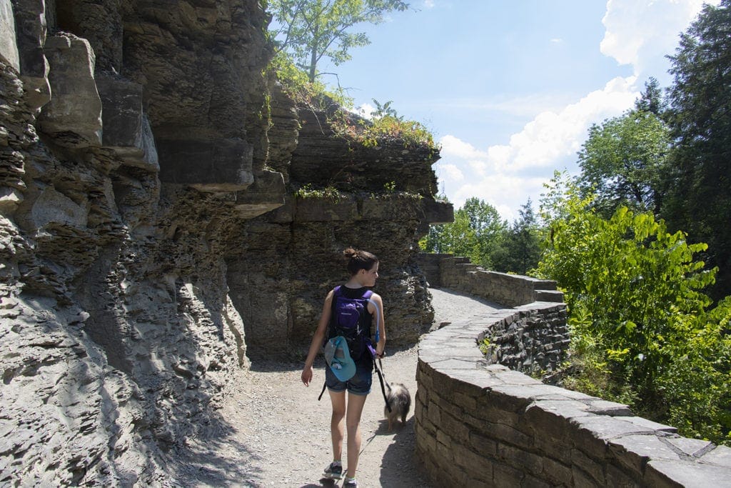 50+ Waterfalls in New York in 3 Days robert treman rim gorge trail 3