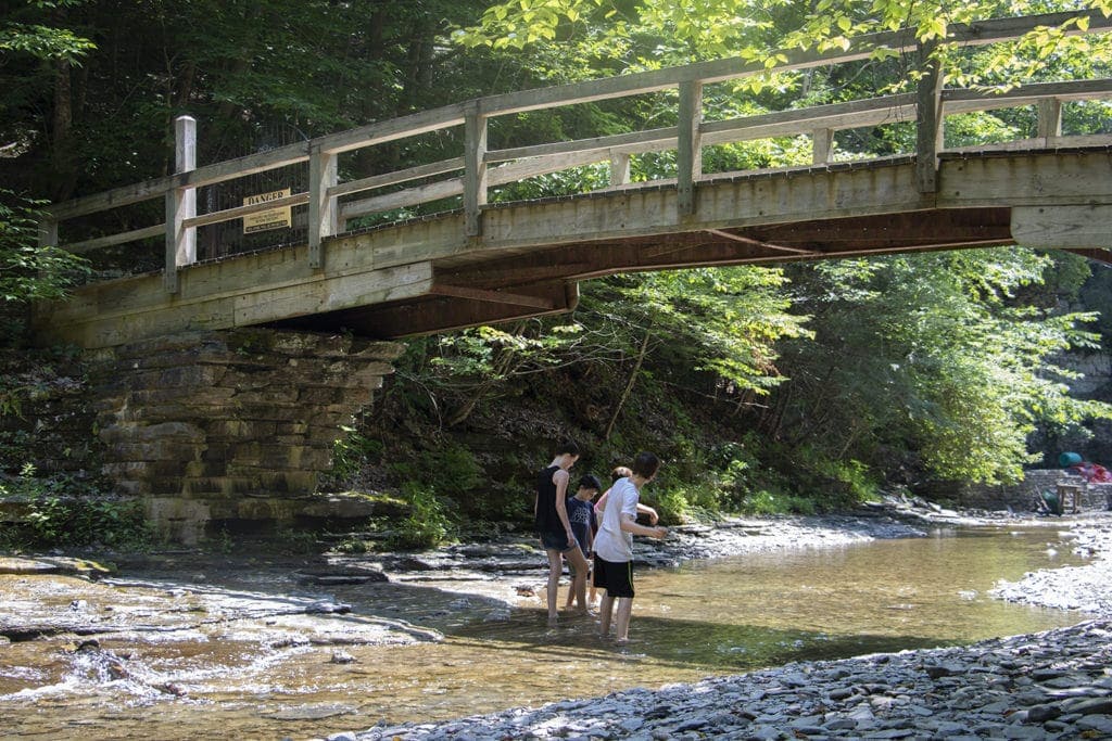 50+ Waterfalls in New York in 3 Days robert treman rim gorge trail 4