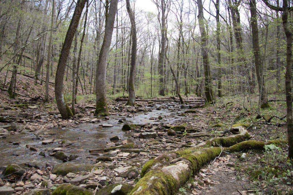 Burden Falls hiking trail. A  rocky stream running through the forest.