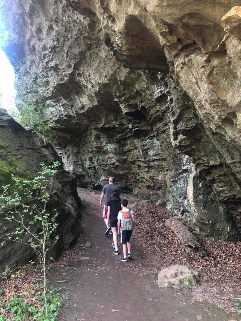 Shawnee Secrets: Top Things to Do in Shawnee National Forest Giant City State Park Hiking