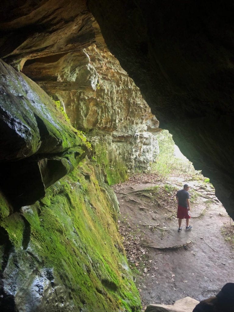 Shawnee Secrets: Top Things to Do in Shawnee National Forest Giant City Trillium Trail