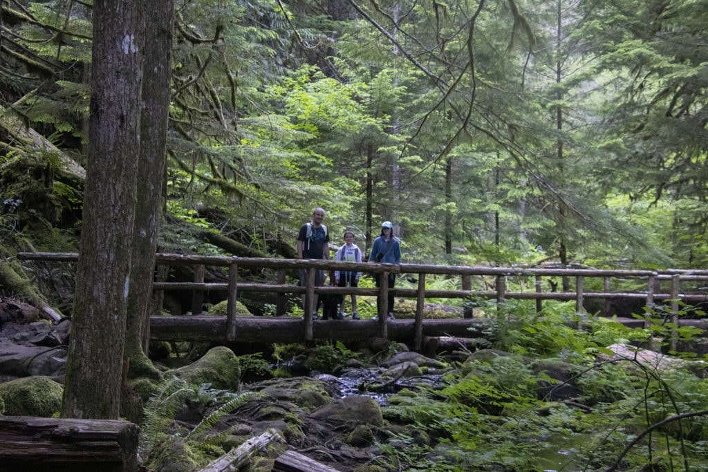 A glimpse of the hiking trail that takes you to Tamolitch Blue Pool