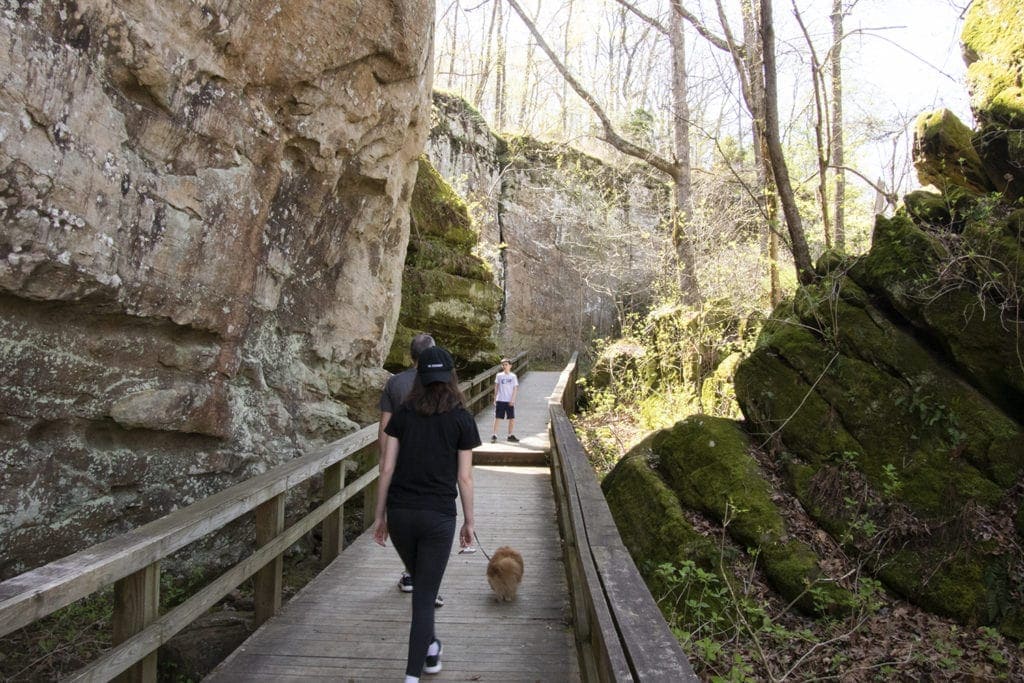 Shawnee Secrets: Top Things to Do in Shawnee National Forest giant city nature trail