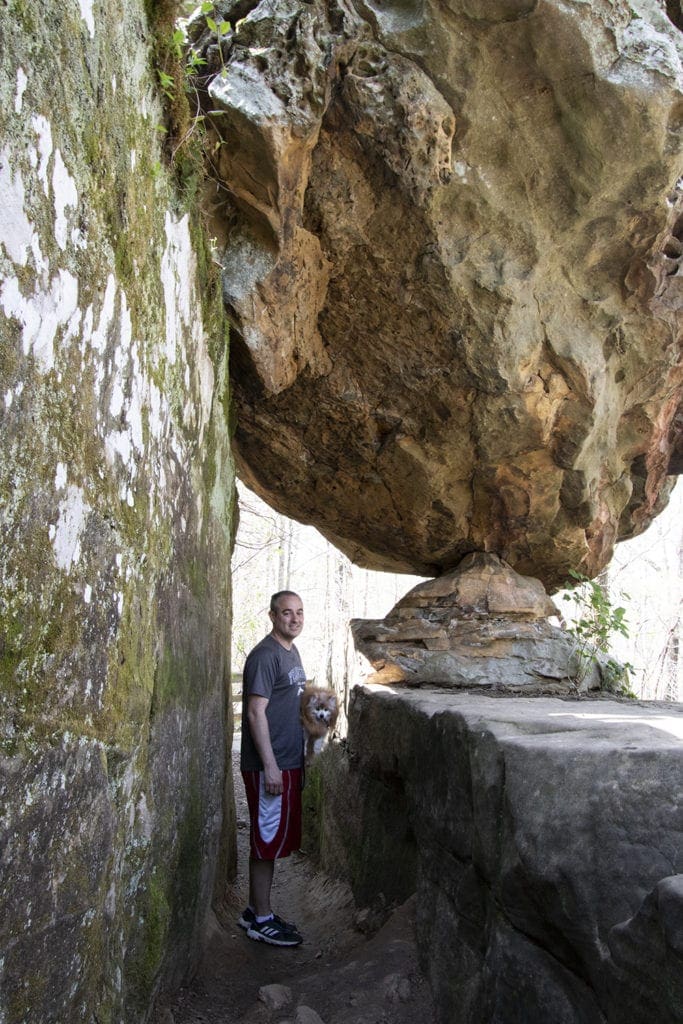 Shawnee Secrets: Top Things to Do in Shawnee National Forest giant city nature trail hike