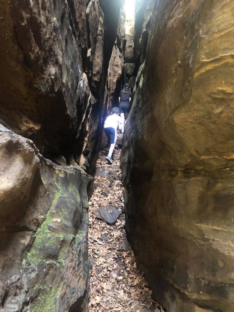 Shawnee Secrets: Top Things to Do in Shawnee National Forest giant city state park southern illinois