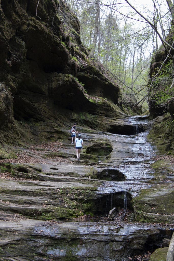 Shawnee Secrets: Top Things to Do in Shawnee National Forest little grand canyon best hike
