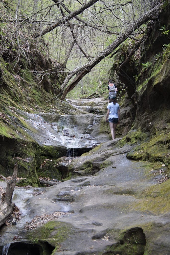 Shawnee Secrets: Top Things to Do in Shawnee National Forest little grand canyon hike illinois