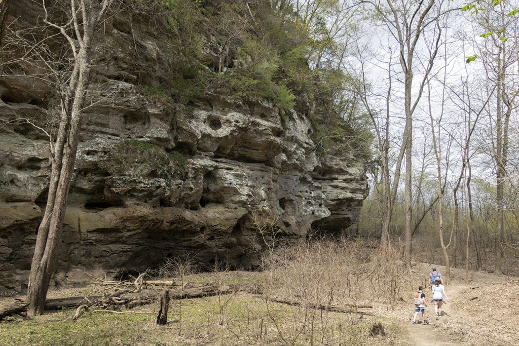 Shawnee Secrets: Top Things to Do in Shawnee National Forest little grand canyon national forest 1