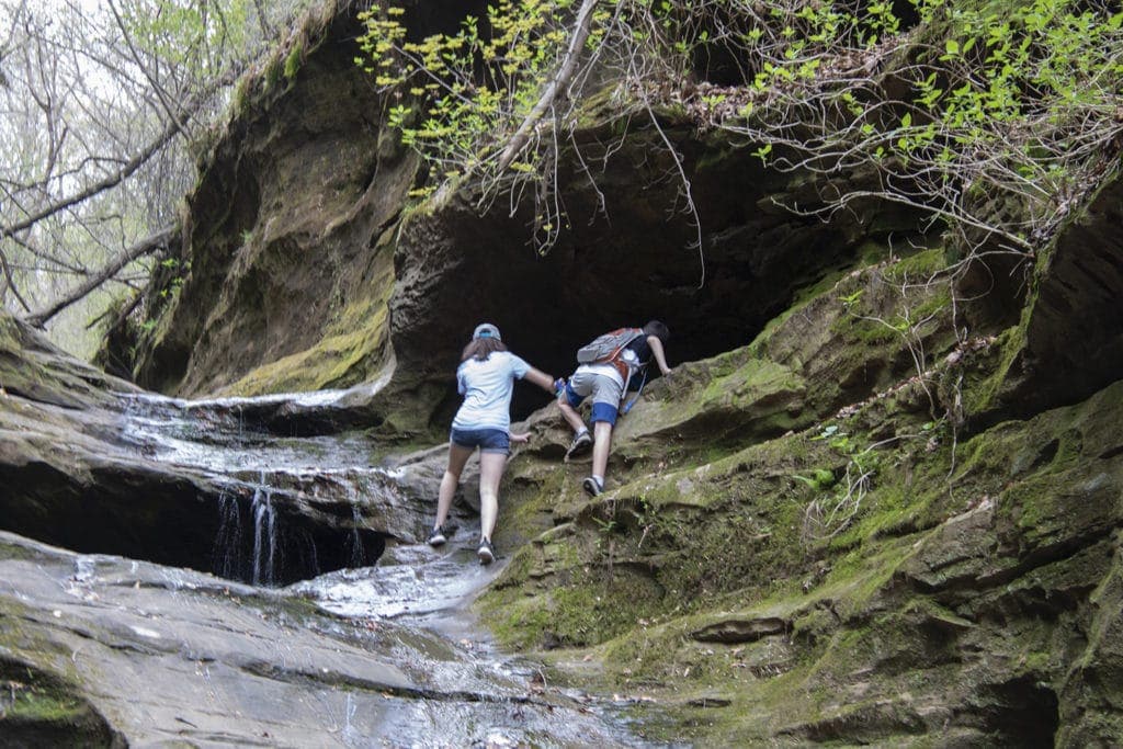 Shawnee Secrets: Top Things to Do in Shawnee National Forest little grand canyon shawnee