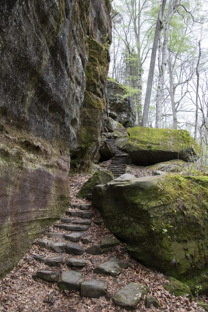 Shawnee Secrets: Top Things to Do in Shawnee National Forest rim rock hiking trail
