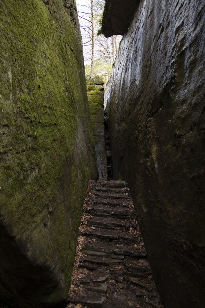 Shawnee Secrets: Top Things to Do in Shawnee National Forest rim rock recreational trail