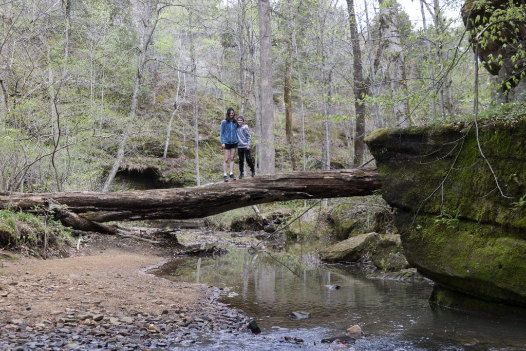 Shawnee Secrets: Top Things to Do in Shawnee National Forest rim rock recreational trail hike illinois 1