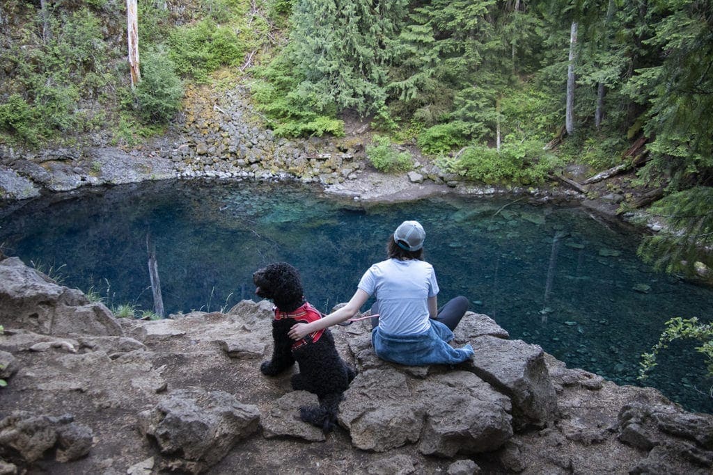 A view of Tamolitch Blue Pool in Oregon.  One of the best day hikes in Oregon.