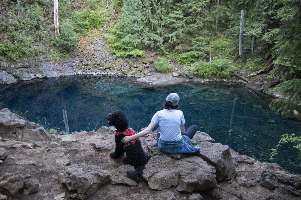 A view of Tamolitch Blue Pool. The water is the most beautiful shade of turquoise.