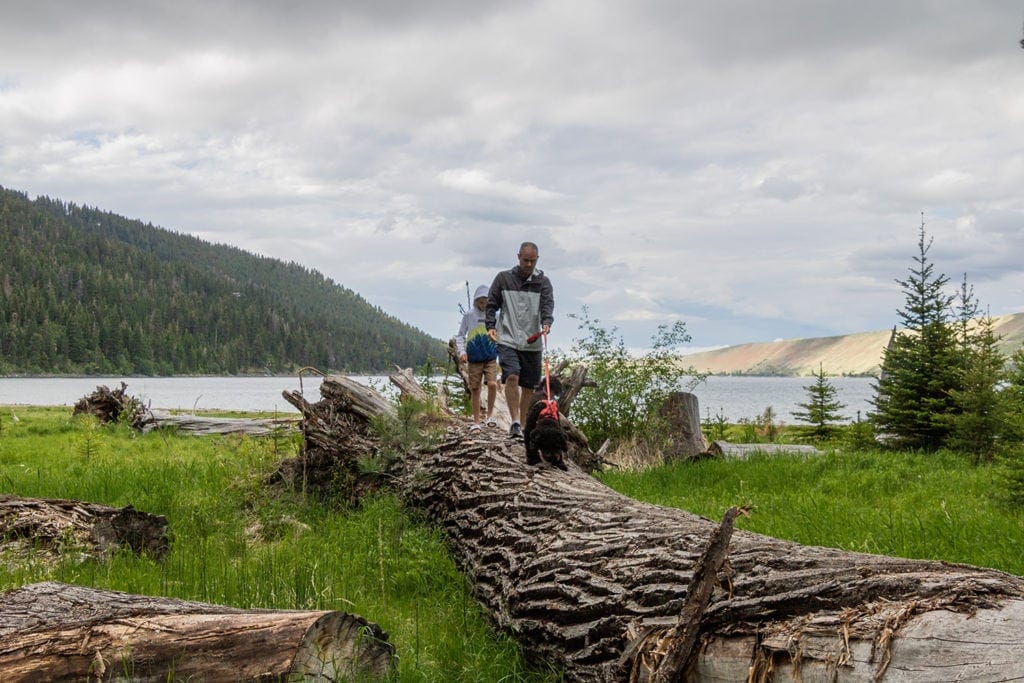 17 Best Day Hikes in Oregon You Don’t Want to Miss (Dog & Family-Friendly) wallowa lake state park