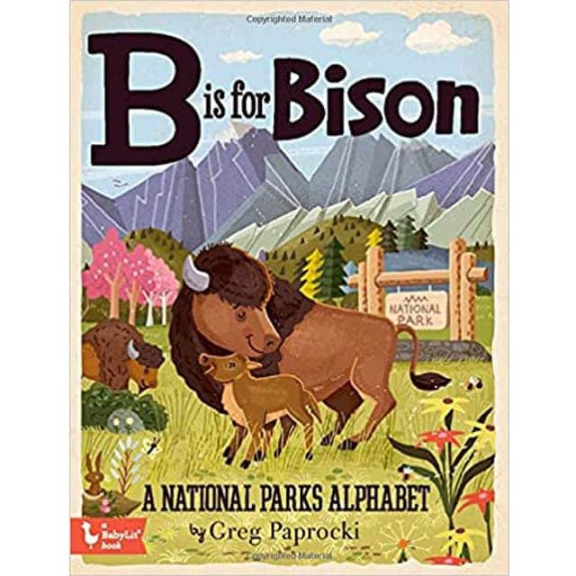 50+ Thoughtful Gifts for National Park Lovers b is for bison national park gift