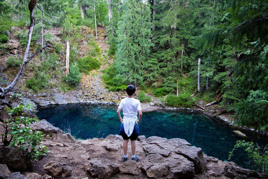 Hiking Oregon’s Tamolitch Blue Pool – The Ultimate Guide Tamolitch blue pool view