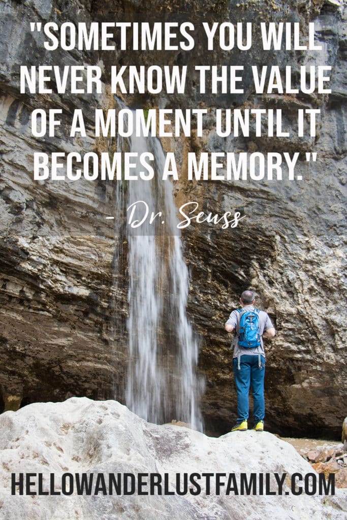 Sometimes you will never know the value of a moment until it becomes a memory - Dr. Seuss