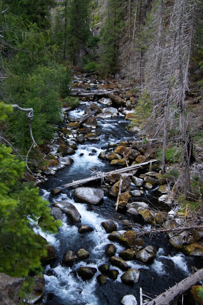 A view of the McKenzie River