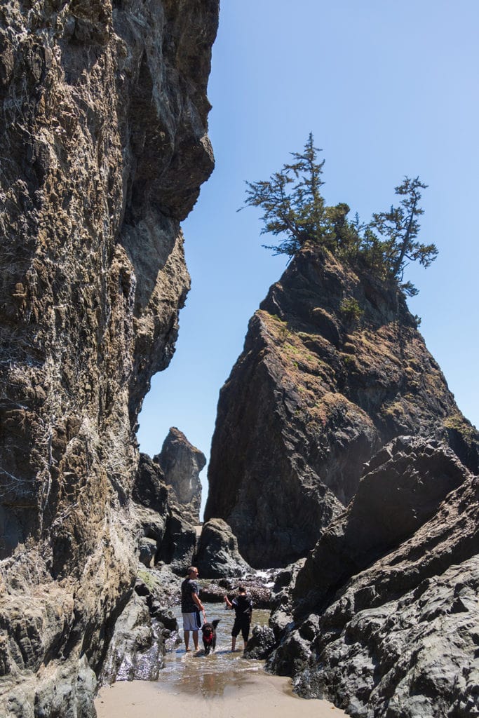 Secret Beach on the Oregon Coast – All You Need to Know oregon coast road trip