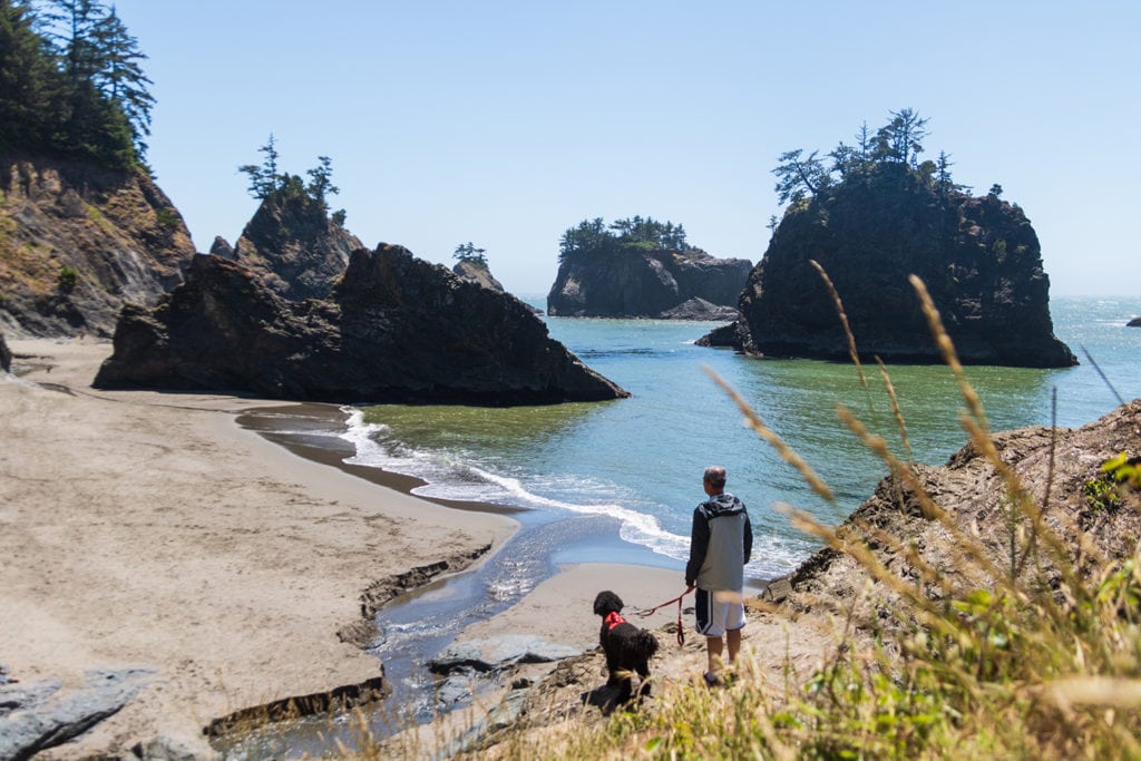 Man and dog taking in the view of Secret Beach.