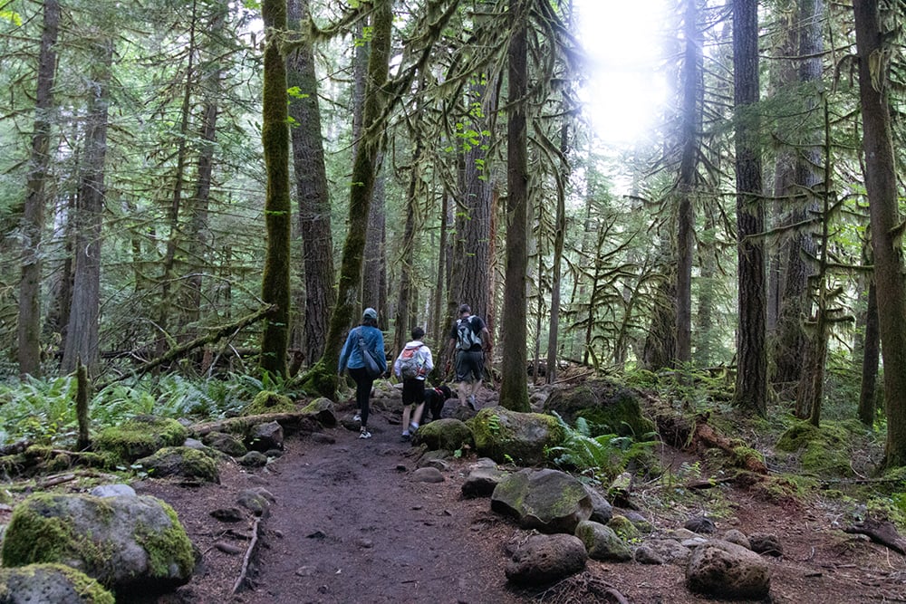 Tamolitch Blue Pool trail in Oregon