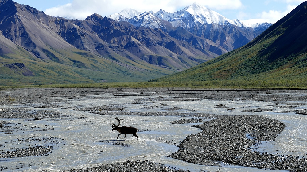 U.S. National Park list by State (Free Printable Map & Checklist) denali national park 2 1