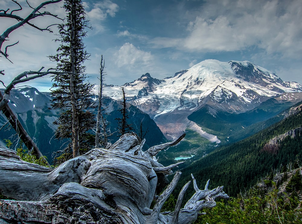 U.S. National Park list by State (Free Printable Map & Checklist) mount rainer national park