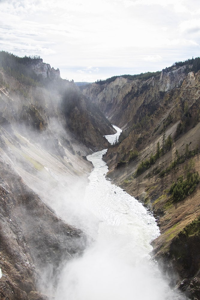 A view of the canyon in Yellowstone