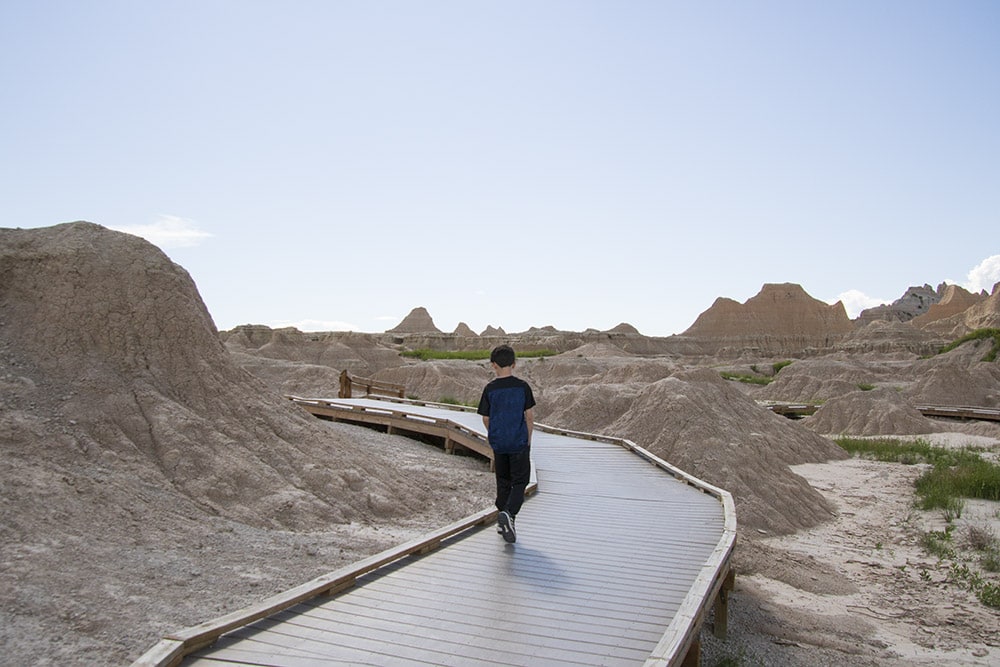 On the fossil exhibit trail boardwalk