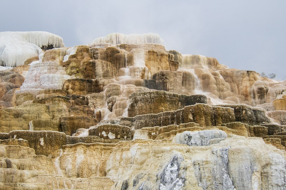 20 Easy Hikes In Yellowstone National Park You Don’t Want to Miss mammoth terraces