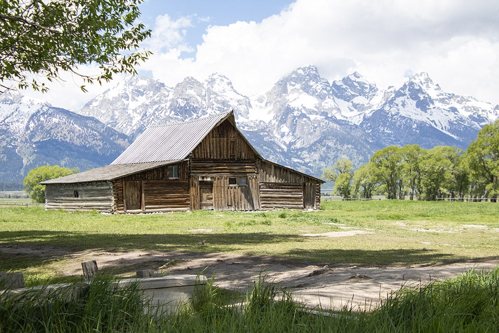 A picture of Mormon Row's Moulton Barn with the Grand Teton in the background.