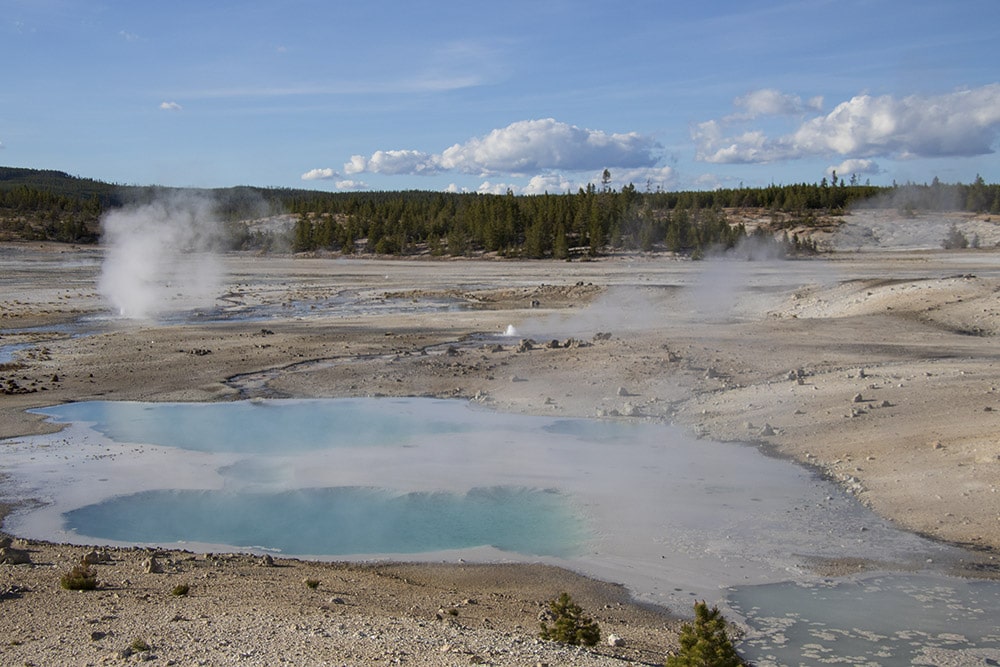 Norris Geyser Basin at Yellowstone National Park