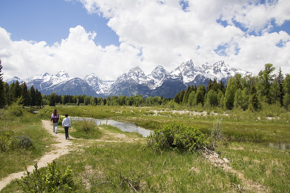 Top 10 Easy Hikes In Grand Teton National Park schwabacher landing