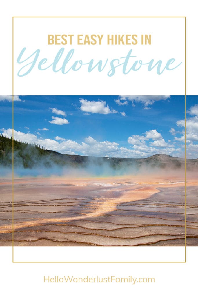 20 Easy Hikes In Yellowstone National Park You Don’t Want to Miss yellowstone 2